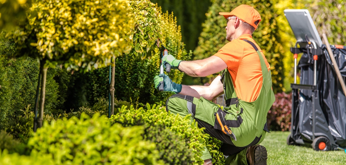 Tec Nut Booking Software For Landscaper small business solutions , Need a new company website?: example for website, Website Templates, build a website, Hosting, free website builder, Register Domain, websites for start-ups, Free Company Website, website design for small business, Company Websites, Square Space